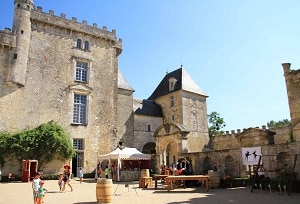 Le Château de Vayres