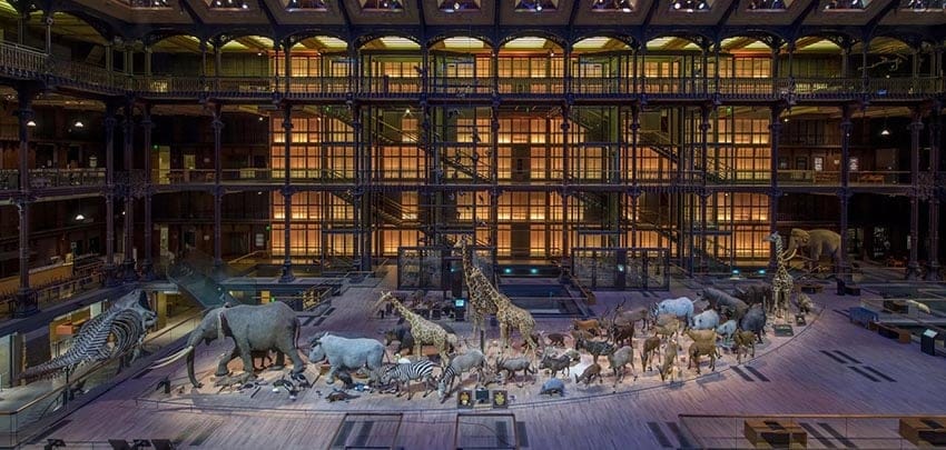 Muséum National d'Histoire Naturelle