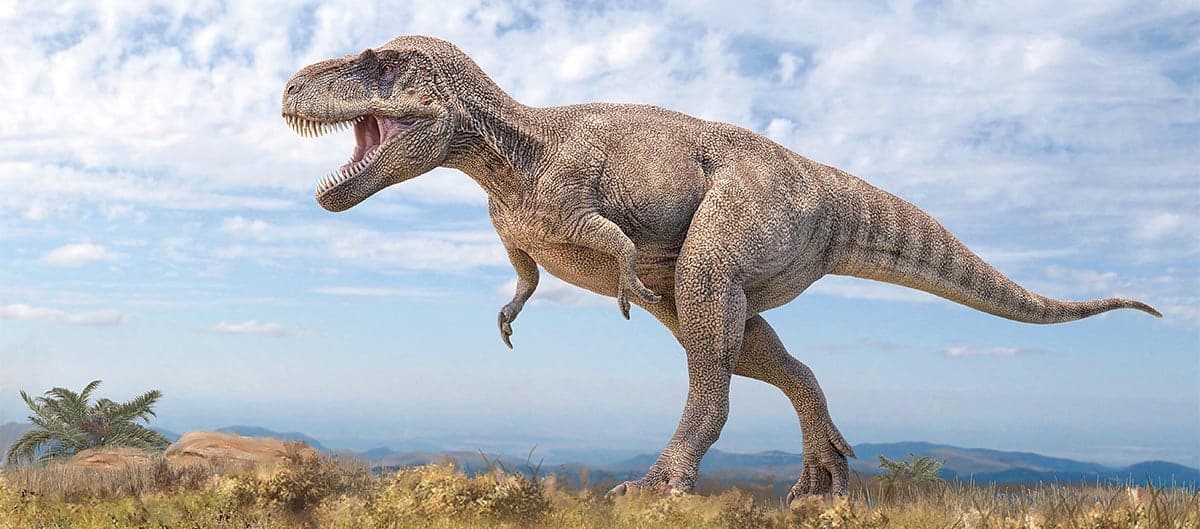 Dinosaure