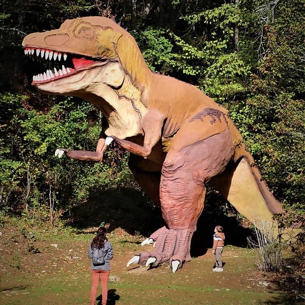 Dinosaures au Cardoland