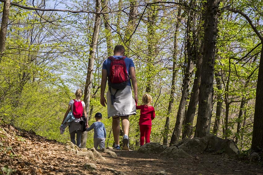 Une famille cueille des mûres
