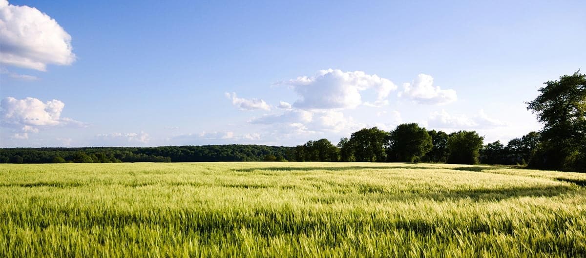 Paysage Sarthe
